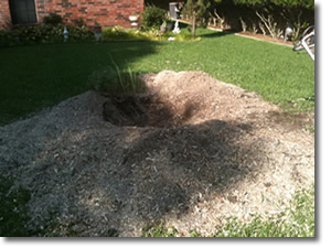 Stump Removal in Plano, TX